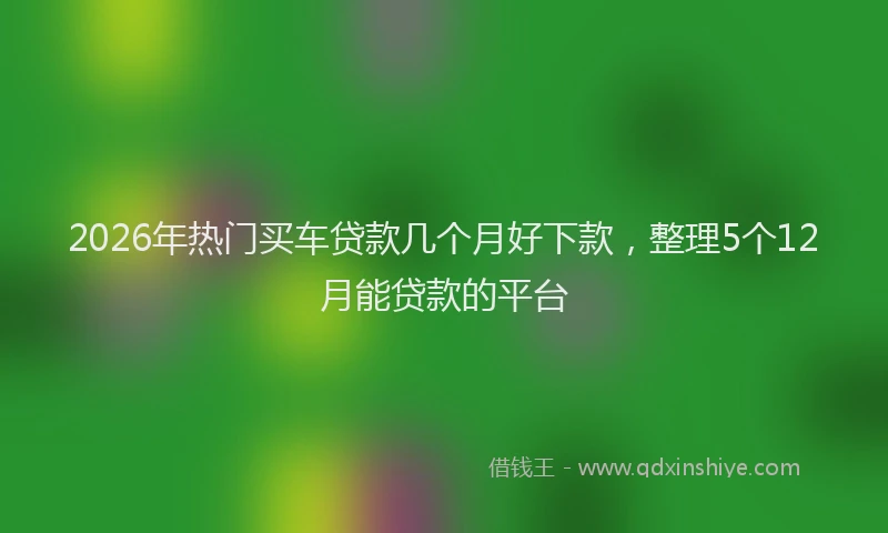 2026年热门买车贷款几个月好下款，整理5个12月能贷款的平台