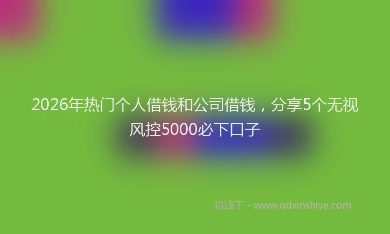 2026年热门个人借钱和公司借钱，分享5个无视风控5000必下口子