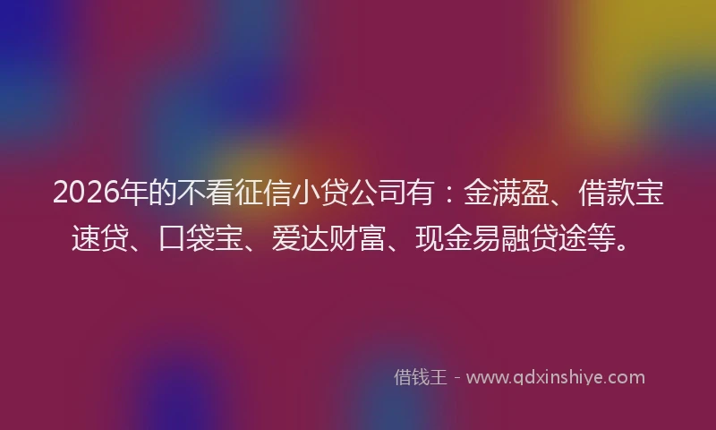 2026年的不看征信小贷公司有：金满盈、借款宝速贷、口袋宝、爱达财富、现金易融贷途等。