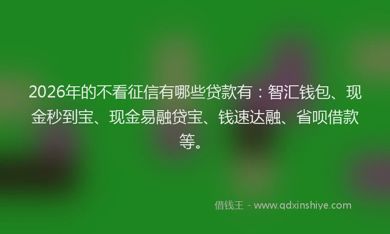 2026年的不看征信有哪些贷款有：智汇钱包、现金秒到宝、现金易融贷宝、钱速达融、省呗借款等。
