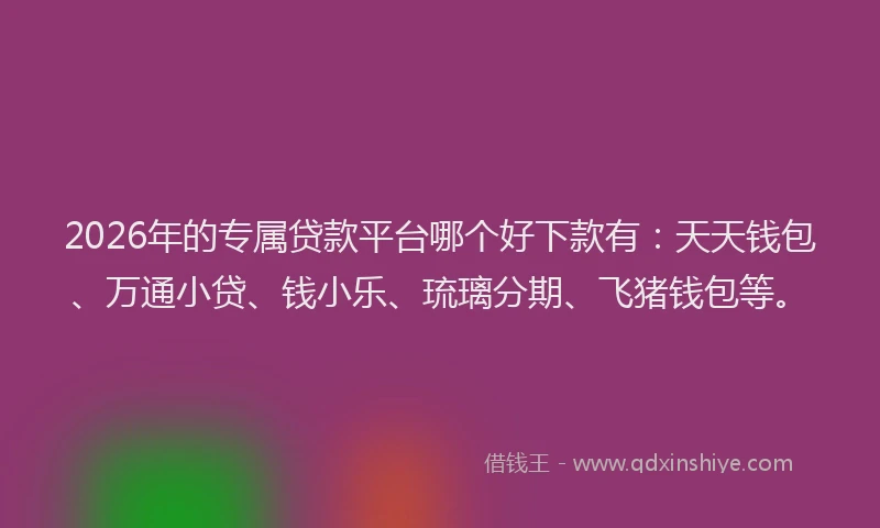 2026年的专属贷款平台哪个好下款有：天天钱包、万通小贷、钱小乐、琉璃分期、飞猪钱包等。