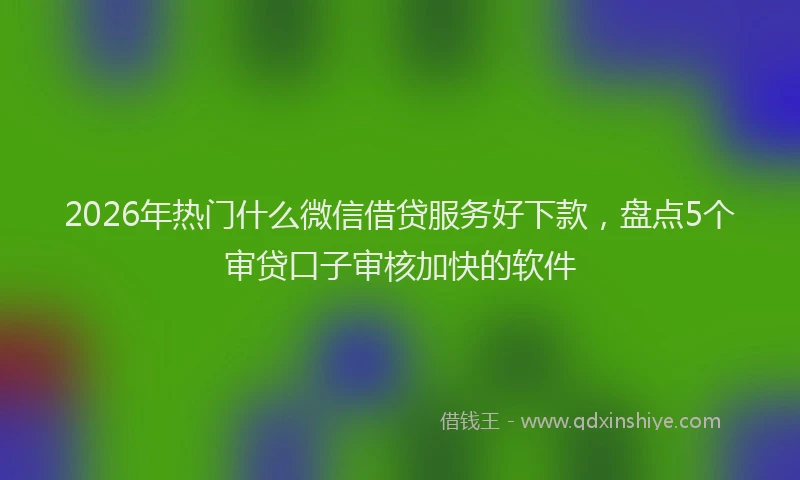 2026年热门什么微信借贷服务好下款，盘点5个审贷口子审核加快的软件