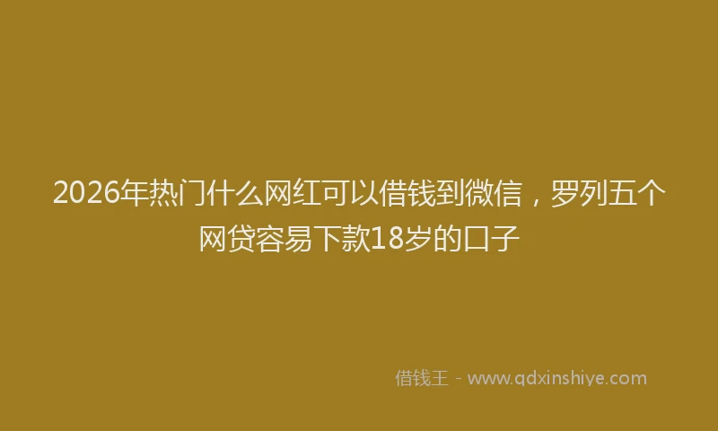 2026年热门什么网红可以借钱到微信，罗列五个网贷容易下款18岁的口子