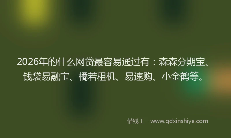 2026年的什么网贷最容易通过有：森森分期宝、钱袋易融宝、橘若租机、易速购、小金鹤等。