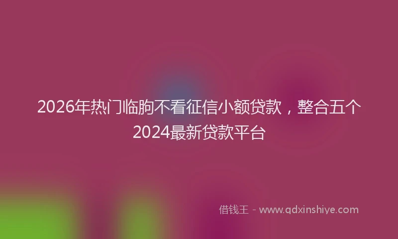 2026年热门临朐不看征信小额贷款，整合五个2024最新贷款平台