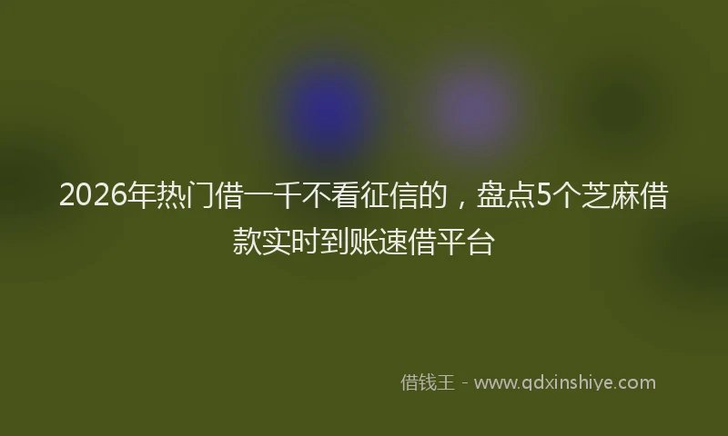 2026年热门借一千不看征信的，盘点5个芝麻借款实时到账速借平台
