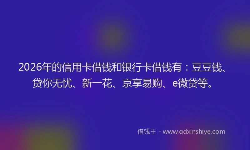 2026年的信用卡借钱和银行卡借钱有：豆豆钱、贷你无忧、新一花、京享易购、e微贷等。