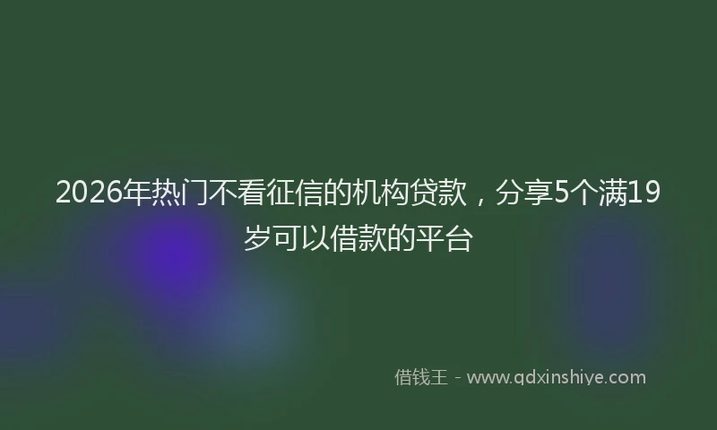 2026年热门不看征信的机构贷款，分享5个满19岁可以借款的平台