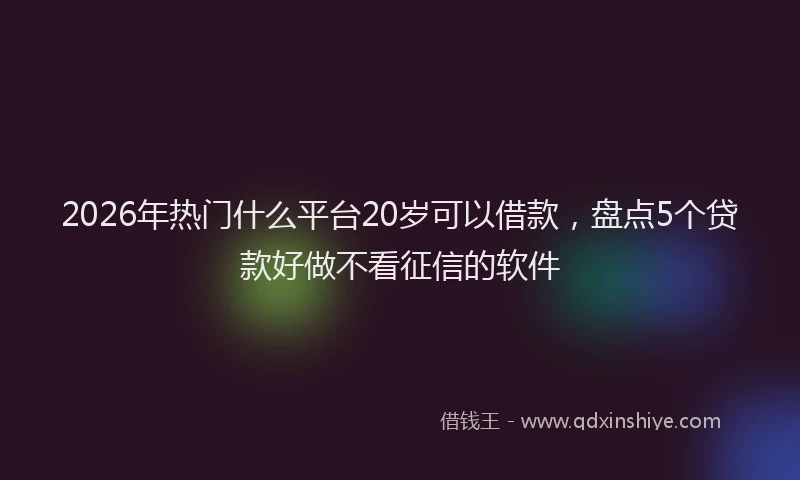2026年热门什么平台20岁可以借款，盘点5个贷款好做不看征信的软件