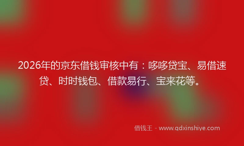 2026年的京东借钱审核中有：哆哆贷宝、易借速贷、时时钱包、借款易行、宝来花等。