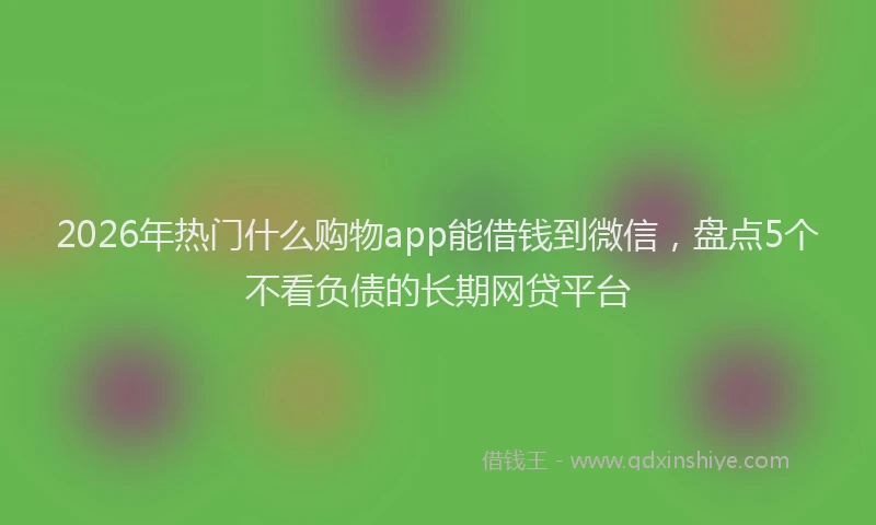 2026年热门什么购物app能借钱到微信，盘点5个不看负债的长期网贷平台