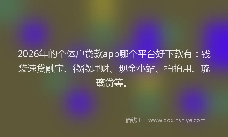 2026年的个体户贷款app哪个平台好下款有：钱袋速贷融宝、微微理财、现金小站、拍拍用、琉璃贷等。