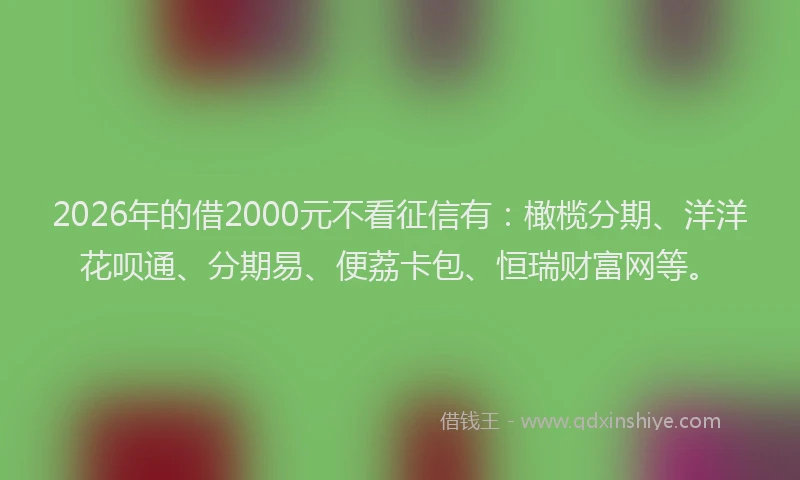 2026年的借2000元不看征信有：橄榄分期、洋洋花呗通、分期易、便荔卡包、恒瑞财富网等。