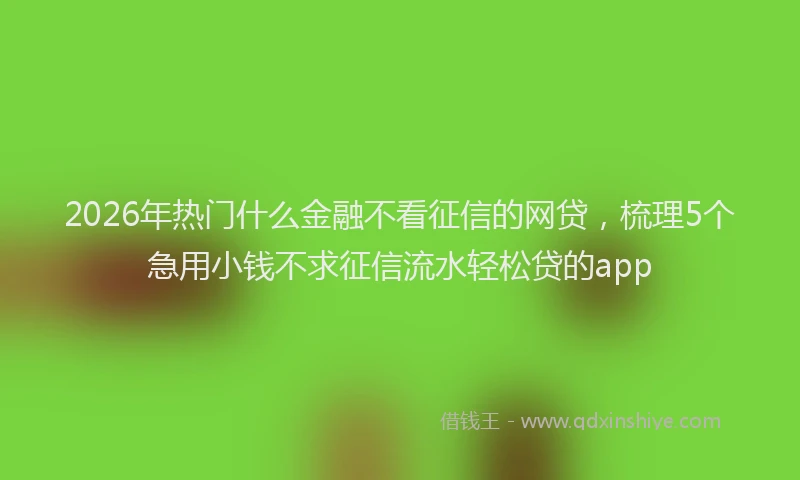 2026年热门什么金融不看征信的网贷，梳理5个急用小钱不求征信流水轻松贷的app
