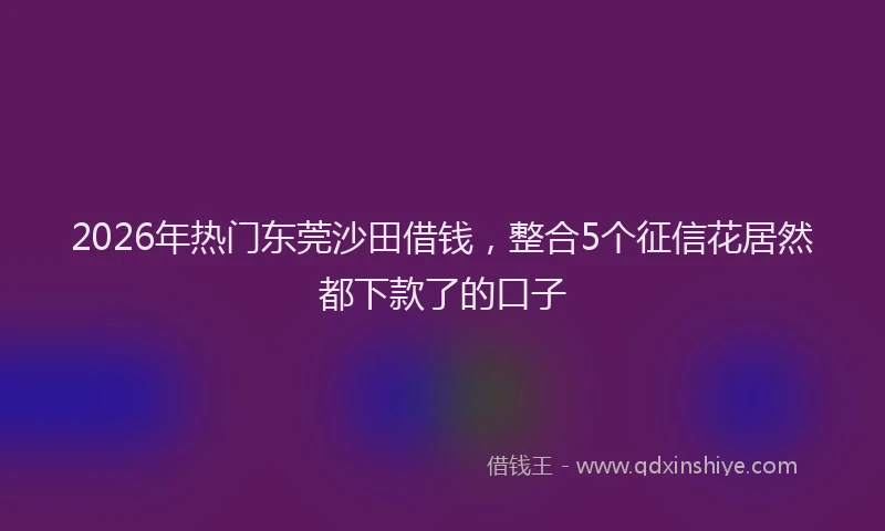 2026年热门东莞沙田借钱，整合5个征信花居然都下款了的口子