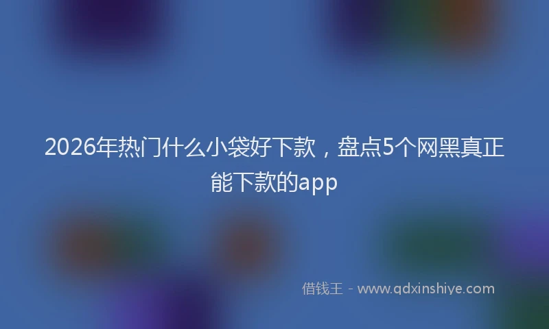 2026年热门什么小袋好下款，盘点5个网黑真正能下款的app