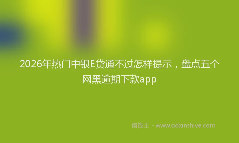 2026年热门中银E贷通不过怎样提示，盘点五个网黑逾期下款app