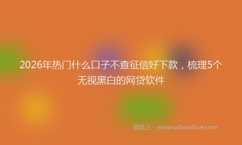 2026年热门什么口子不查征信好下款，梳理5个无视黑白的网贷软件