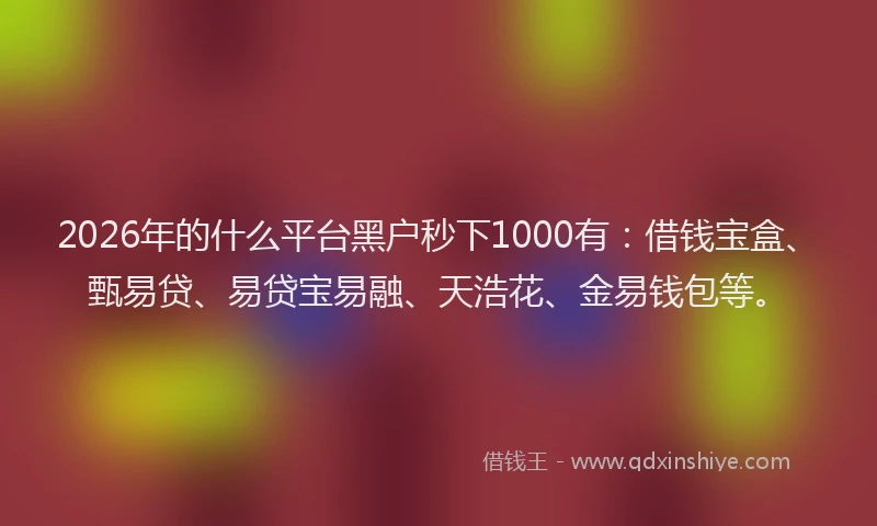 2026年的什么平台黑户秒下1000有：借钱宝盒、甄易贷、易贷宝易融、天浩花、金易钱包等。