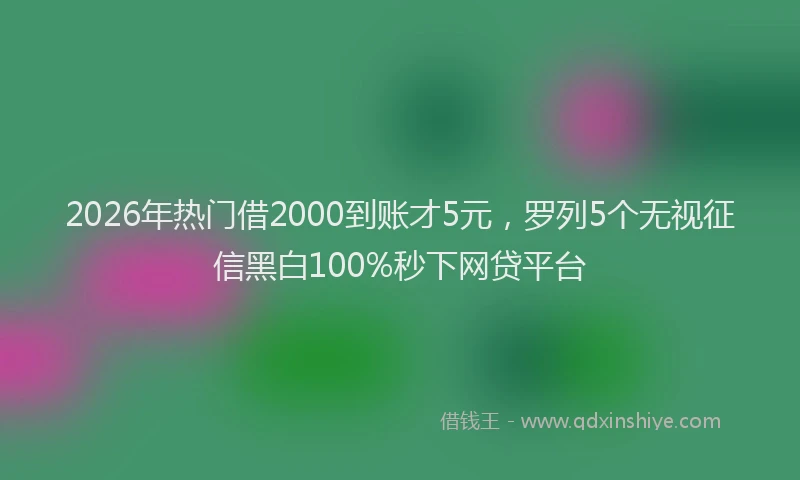 2026年热门借2000到账才5元，罗列5个无视征信黑白100%秒下网贷平台