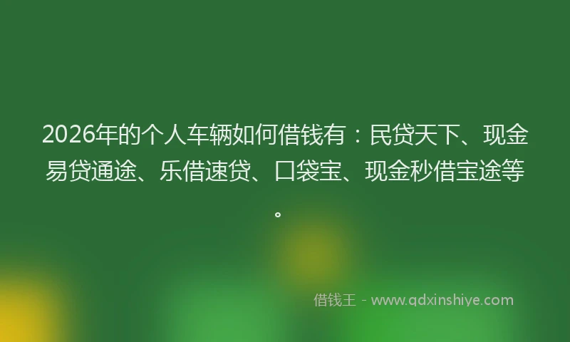 2026年的个人车辆如何借钱有：民贷天下、现金易贷通途、乐借速贷、口袋宝、现金秒借宝途等。