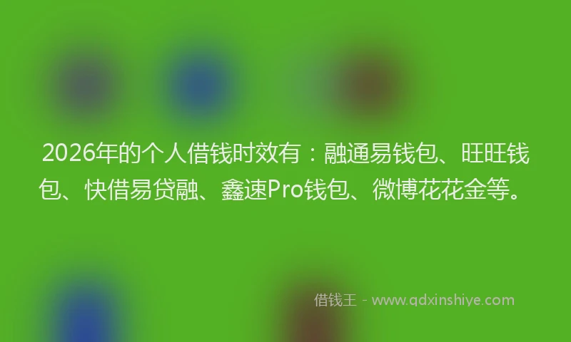 2026年的个人借钱时效有：融通易钱包、旺旺钱包、快借易贷融、鑫速Pro钱包、微博花花金等。