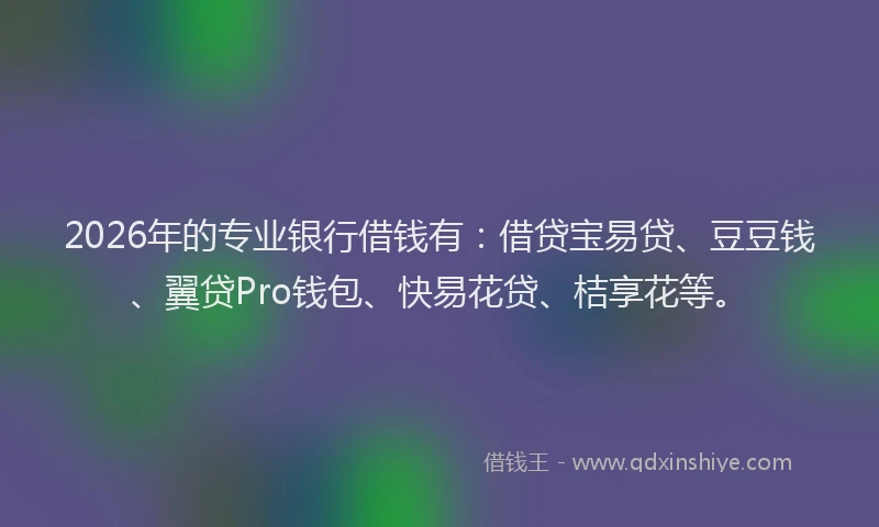 2026年的专业银行借钱有：借贷宝易贷、豆豆钱、翼贷Pro钱包、快易花贷、桔享花等。