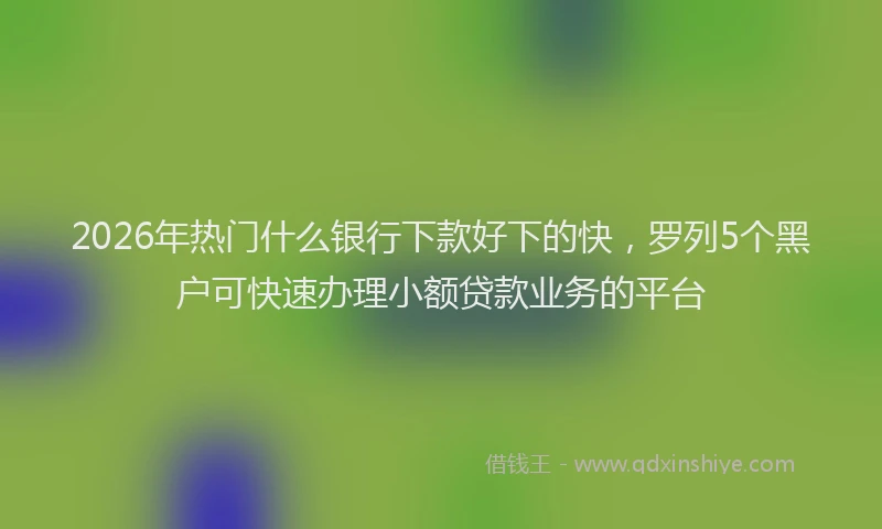 2026年热门什么银行下款好下的快，罗列5个黑户可快速办理小额贷款业务的平台