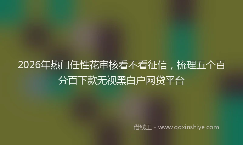 2026年热门任性花审核看不看征信，梳理五个百分百下款无视黑白户网贷平台