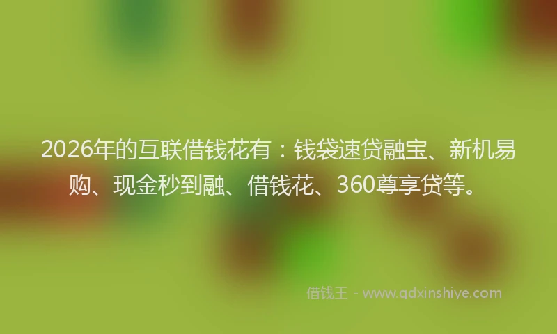 2026年的互联借钱花有：钱袋速贷融宝、新机易购、现金秒到融、借钱花、360尊享贷等。
