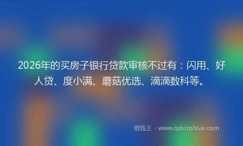 2026年的买房子银行贷款审核不过有：闪用、好人贷、度小满、蘑菇优选、滴滴数科等。