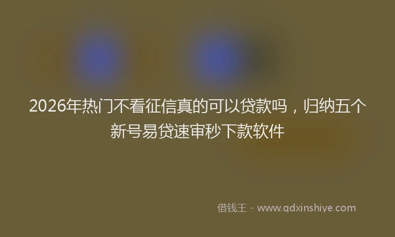 2026年热门不看征信真的可以贷款吗，归纳五个新号易贷速审秒下款软件