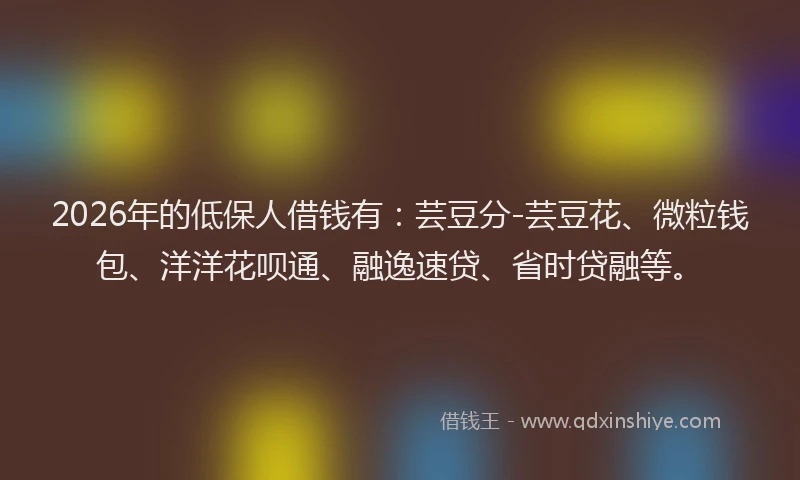 2026年的低保人借钱有：芸豆分-芸豆花、微粒钱包、洋洋花呗通、融逸速贷、省时贷融等。