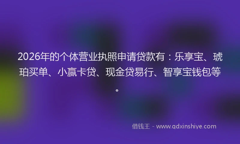 2026年的个体营业执照申请贷款有：乐享宝、琥珀买单、小赢卡贷、现金贷易行、智享宝钱包等。