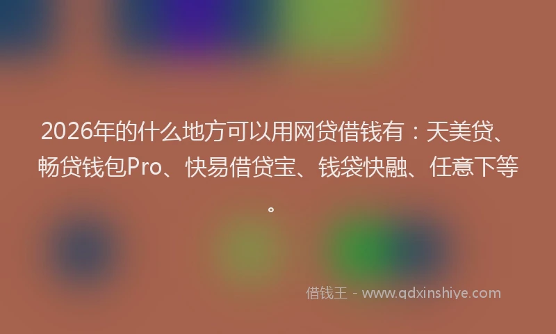 2026年的什么地方可以用网贷借钱有：天美贷、畅贷钱包Pro、快易借贷宝、钱袋快融、任意下等。