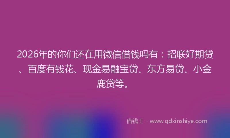 2026年的你们还在用微信借钱吗有：招联好期贷、百度有钱花、现金易融宝贷、东方易贷、小金鹿贷等。