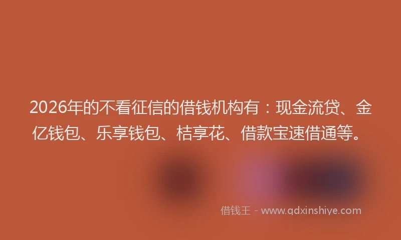 2026年的不看征信的借钱机构有：现金流贷、金亿钱包、乐享钱包、桔享花、借款宝速借通等。