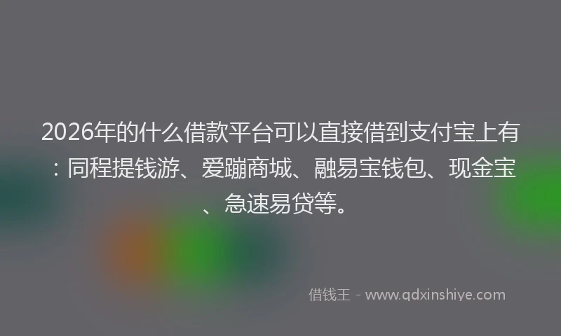 2026年的什么借款平台可以直接借到支付宝上有：同程提钱游、爱蹦商城、融易宝钱包、现金宝、急速易贷等。