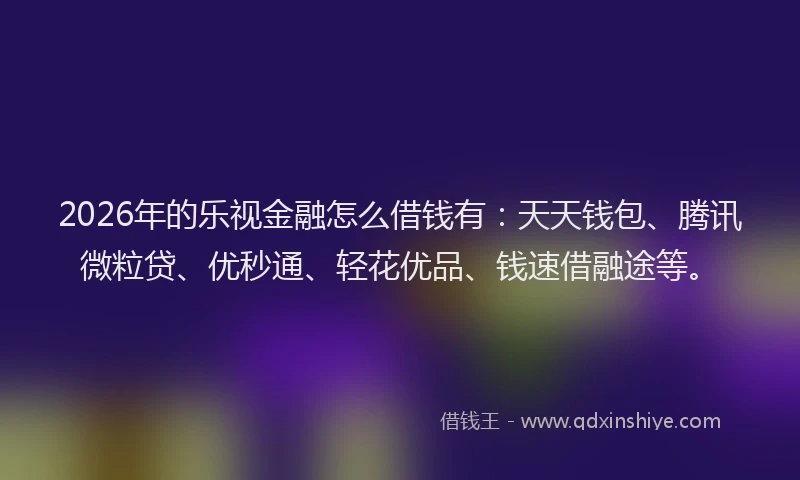 2026年的乐视金融怎么借钱有：天天钱包、腾讯微粒贷、优秒通、轻花优品、钱速借融途等。