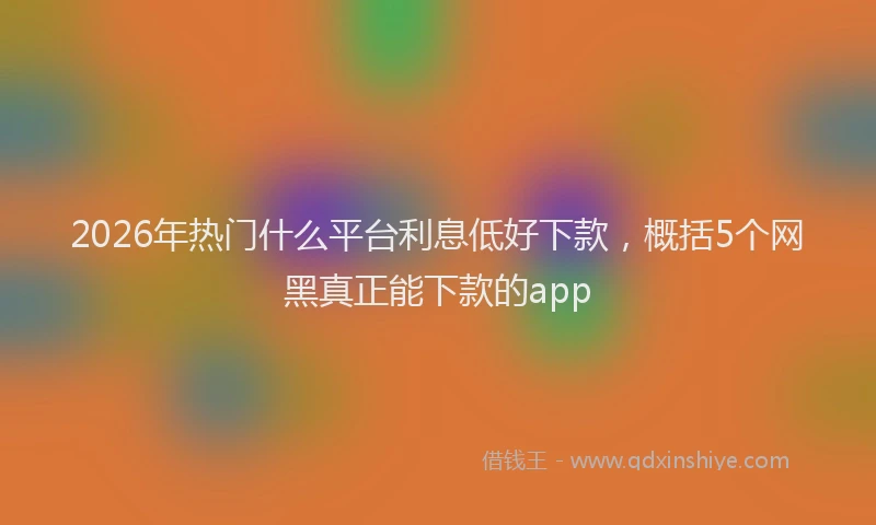 2026年热门什么平台利息低好下款，概括5个网黑真正能下款的app