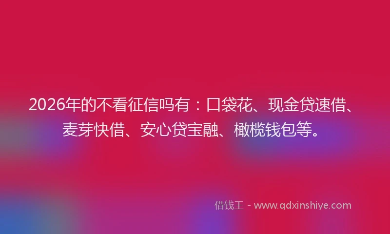 2026年的不看征信吗有：口袋花、现金贷速借、麦芽快借、安心贷宝融、橄榄钱包等。