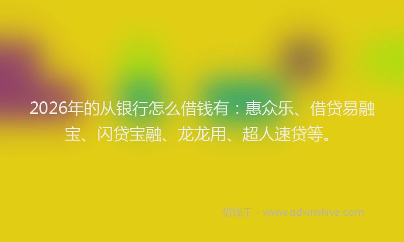 2026年的从银行怎么借钱有：惠众乐、借贷易融宝、闪贷宝融、龙龙用、超人速贷等。