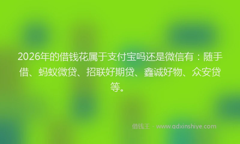 2026年的借钱花属于支付宝吗还是微信有：随手借、蚂蚁微贷、招联好期贷、鑫诚好物、众安贷等。