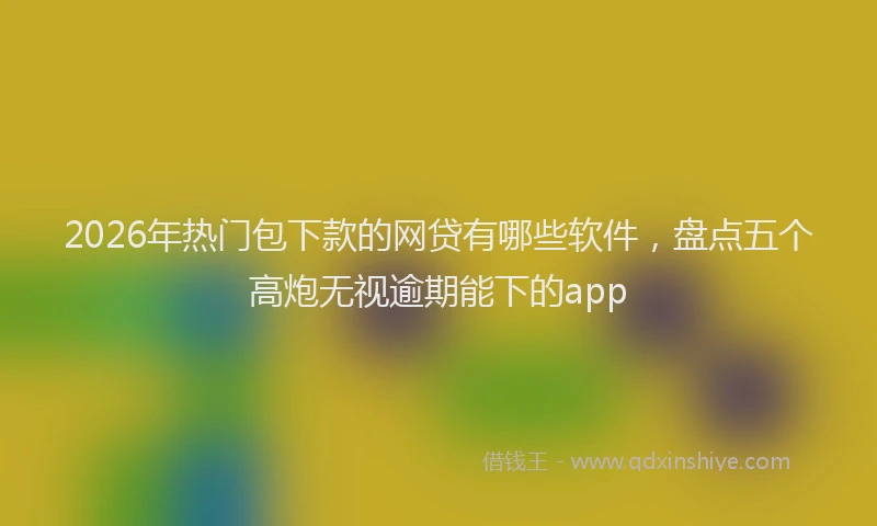 2026年热门包下款的网贷有哪些软件，盘点五个高炮无视逾期能下的app