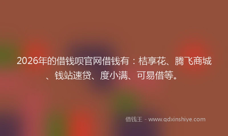 2026年的借钱呗官网借钱有：桔享花、腾飞商城、钱站速贷、度小满、可易借等。
