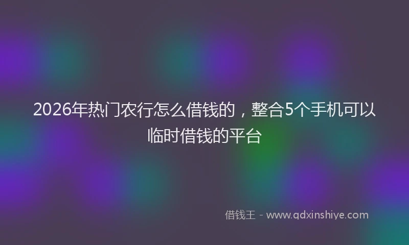 2026年热门农行怎么借钱的，整合5个手机可以临时借钱的平台