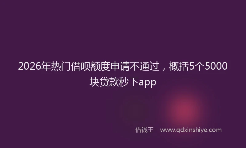 2026年热门借呗额度申请不通过，概括5个5000块贷款秒下app