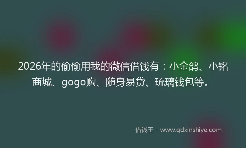 2026年的偷偷用我的微信借钱有：小金鸽、小铭商城、gogo购、随身易贷、琉璃钱包等。