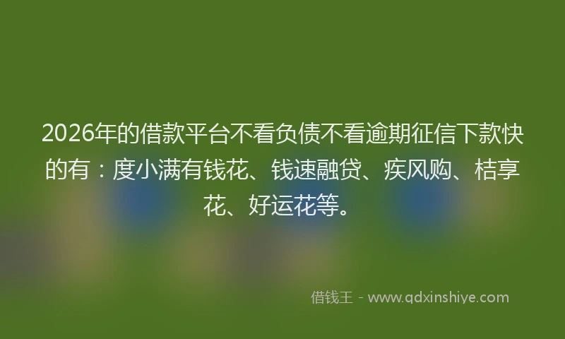 2026年的借款平台不看负债不看逾期征信下款快的有：度小满有钱花、钱速融贷、疾风购、桔享花、好运花等。