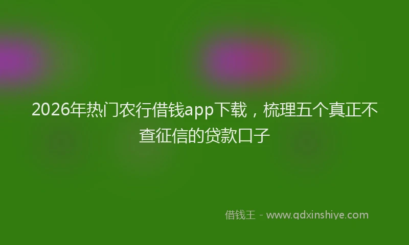 2026年热门农行借钱app下载，梳理五个真正不查征信的贷款口子